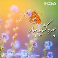 عکس موزیک ویدیو تبریک عید || نوروز 1400 || سال تحویل