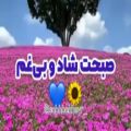 عکس صبحت شاد و بی غم . کلیپ شاد صبح بخیر