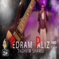 عکس ( پدرام پالیز - تقویم شمسی )Pedram Paliz - Taghvim Shamsi | MUSIC VIDEO
