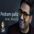 عکس ( پدرام پالیز - اول مجلس )Pedram Paliz - Aval Majles | OFFICIAL TRACK