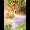 عکس یانی-a walk in the rain
