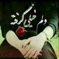 عکس آهنگ عاشقانه و احساسی