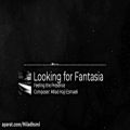 عکس Looking for Fantasia - Feeling the Presence - آهنگساز : میلاد حاجی اسماعیلی