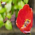 عکس گل من شعری عاشقانه از محمد میرزایی و صدای دلنشین رویا رو بشنویم در رادیو دل از ک