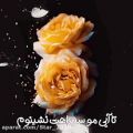 عکس مصطفی ابراهیمی / آهنگ / غمگین و عاشقانه / گل زردی