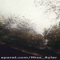عکس کلیپ باران برای وضیعت واتساپ