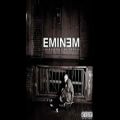 عکس Eminem FT Dr.dre,Xzibit,Snoop dogg - Bitch Please II