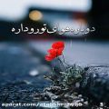 عکس دلم گرفته ........