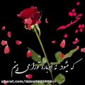 عکس پنجشنبه