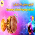 عکس تکنوازی و همنوازی تنبک (شیرانی) - Harmony and Solo Playing Tonbak (Shirani)