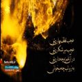 عکس ترانه بسیار تاثیر گذار امیر بی گزند با صدای آقای محسن چاوشی - شیراز