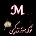 عکس بفرست واسه رفیق M