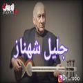 عکس مروری بر زندگی و کارنامه ارزشمند جلیل شهناز موسیقیدان نامی ایران در رادیو دل دان