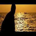عکس نماهنگ ایستاده بر موج Sahra Elahi