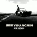 عکس آهنگ See You Again با ترجمه