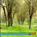 عکس ترانه شاد بوی بهار با صدای آقای حسن صفری - شیراز