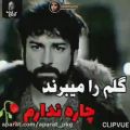 عکس فالو = فالو