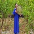 عکس موزیک ویدئو میچکا بیژن مرتضوی از دفنوازان کژال