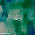 عکس اهنگ عربی - نور الزين - الخلقه نار ( فيديو كليب حصري )
