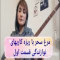 عکس آموزش مرغ سحر/ ریزه کاریهای سه تار/میترا ابراهیمی