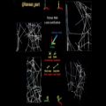 عکس شبیه سازی موسیقی تار های عنکبوت