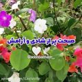 عکس صبحت پر از شادی و آرامش . کلیپ شاد صبح بخیر . انرژی مثبت