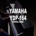 عکس تست صدای پیانو دیجیتال Yamaha YDP 164