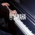 عکس تست صدای پیانو دیجیتال Yamaha YDP 144