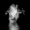 عکس آهنگ بسیار زیبای بوی باران از محمد اصفهانی