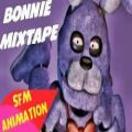 عکس اهنگ فناف bonnie mixtape