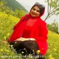 عکس موسیقی اصیل - آهنگ فصل بهار - خواننده علی سیار