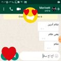 عکس چت مرینت و آدرین