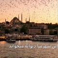 عکس این شهر مرا دیوانه می خواند || رضا بهرام || آهنگ زیبا || آهنگ عاشقانه ||