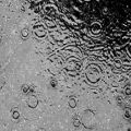 عکس rain - brian crain (موسیقی-پیانو)