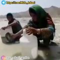 عکس *گشنده: استاد عابد آسکانی*
*خواننده:میرین آسکانی*  *اے کئی بچّیگ اَنت؟*