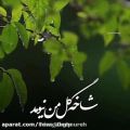 عکس کلیپ شاد/عاشقانه