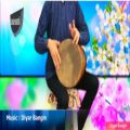 عکس تکنوازی تنبک ( شیرانی ) - Solo Playing Tonbak By Diyar Bangin