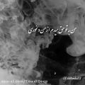 عکس کلیپ شاخ متن دار ایرانی و خارجی برای استوری اینستا گرام