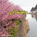 عکس ترانه آهنگ بسیار زیبای آذری باکویی - جدید 2021