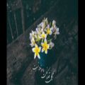 عکس نماهنگ بسیار زیبای گل یاس با صدای بنیامین بهادری - ویژه حضرت زهرا
