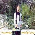 عکس دختر شیرازی « شمیم »