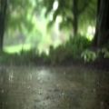 عکس موسیقی بی کلامِ آرامش بخش با صدای باران و تصاویر طبیعت