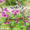 عکس یه اهنگ شاد و پر انرژی از راغب