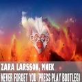 عکس Zara Larsson, MNEK - Never Forget You Press Play Bootle