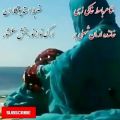 عکس شاعرارمان شهلی بر