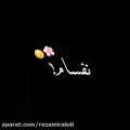 عکس کلیپ عاشقانه_گل بی نقص من...