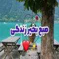 عکس صبح بخیر زندگی . کلیپ شاد صبح بخیر ‌‌.‌