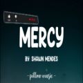 عکس بهترین آهنگ های خارجی- Mercy Shawn Mendez