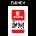 عکس آهنگ اسم من... از امینم _ My Name IS - Eminem