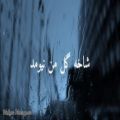 عکس موزیک نوشته کسری زاهدی ، شاخه گل - Mahyar Mousapour
